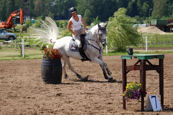 Competition in Erceni - June 2019