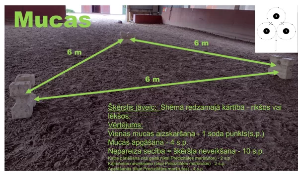 Mucas / izkārtojums