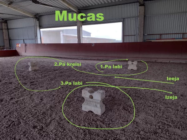 Mucas / veikšanas secība